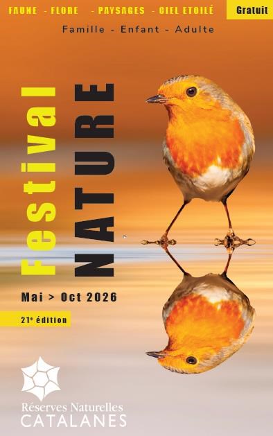 COMPTAGE DES CHAUVES-SOURIS DU VILLAGE DE NYER