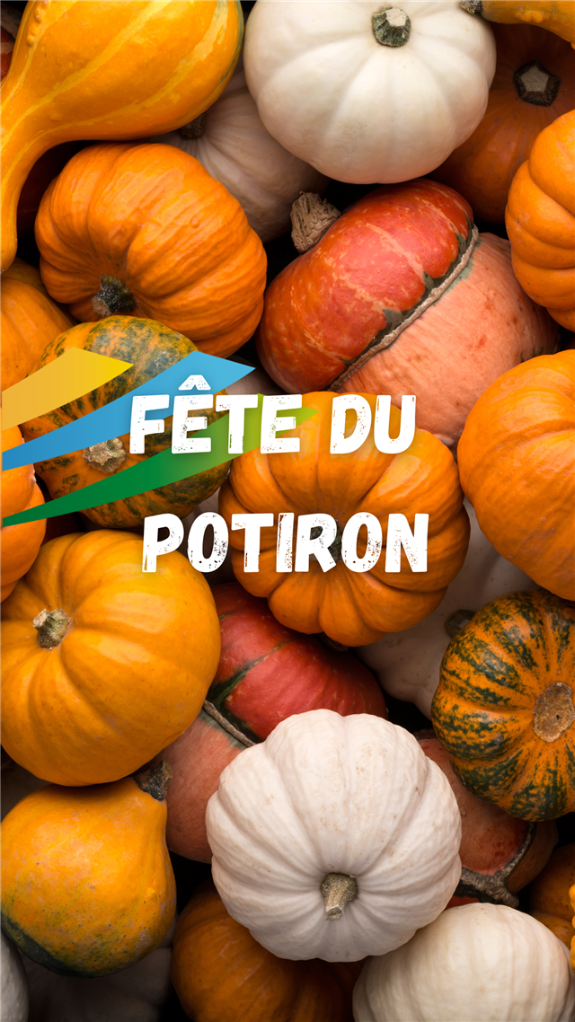 Concours du potiron