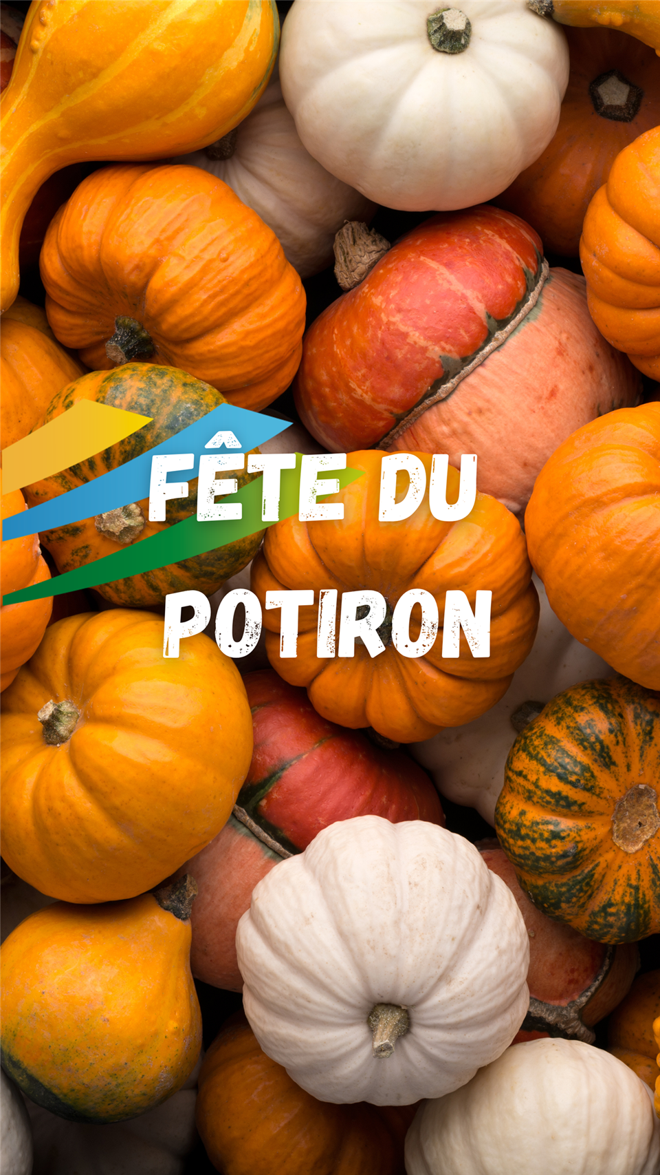 Concours du potiron