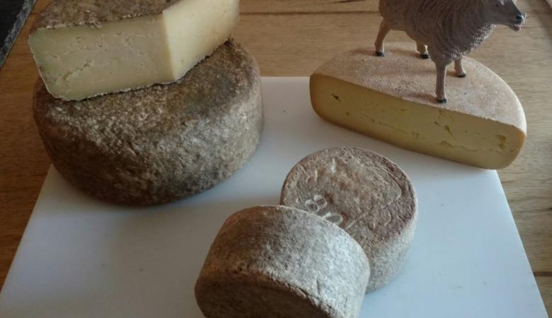 Fromagerie Cal Rous1