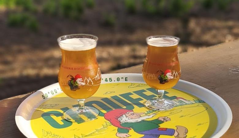 Guinguette 6 Guinguette 6