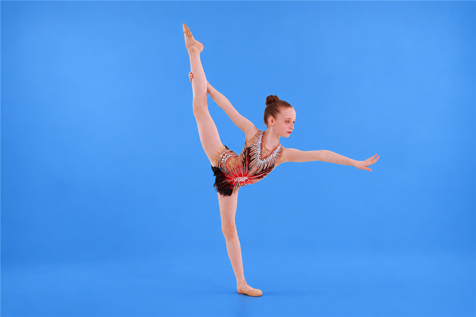 Stage de cirque - gymnastique - acrobatie - acro dance