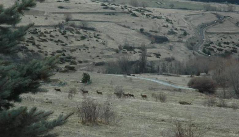 HLOLAR0660001754_12