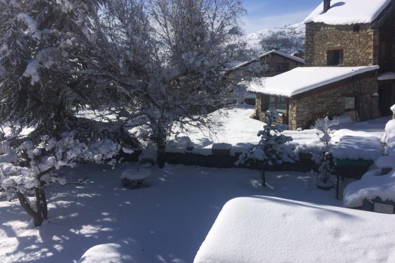 Jardin sous la neige