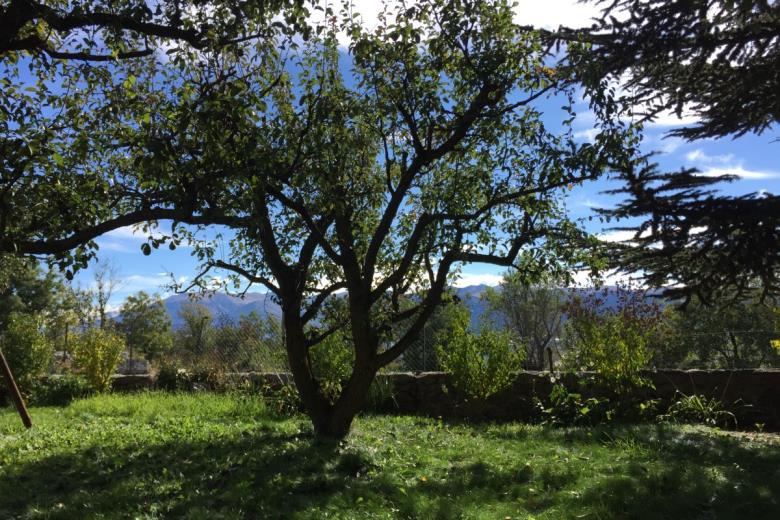 Jardin arboré