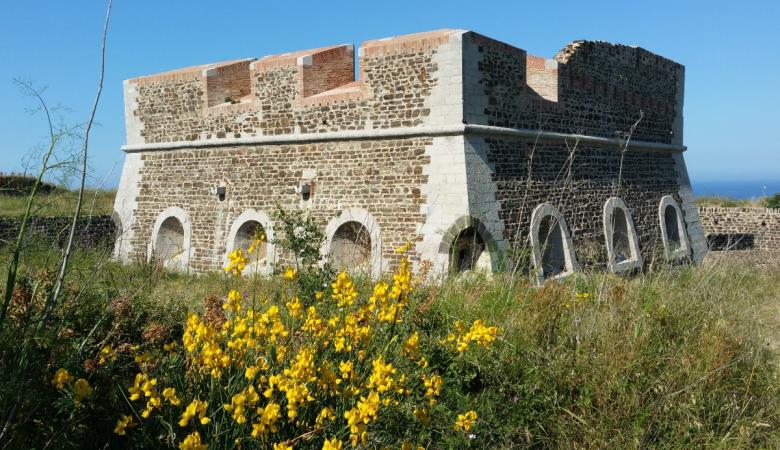 HLOLAR066NO21221_21