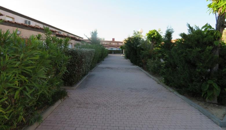 Allée arborée de la Résidence