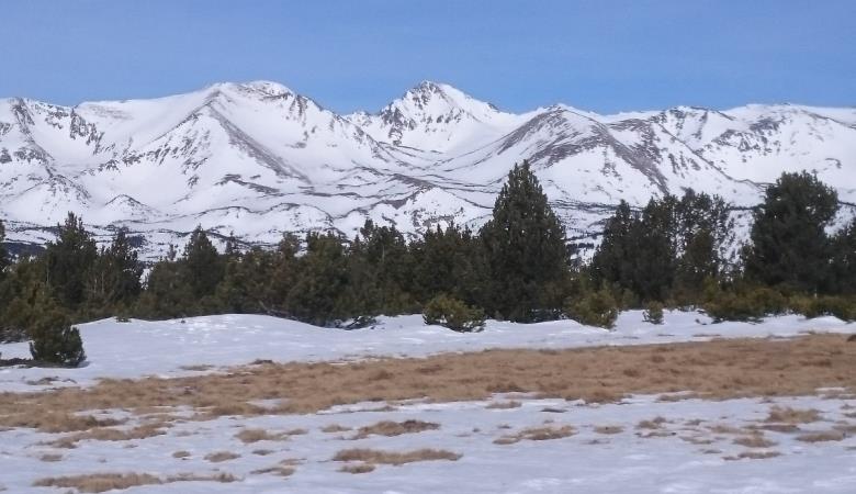 HLOLAR066NO21498_5