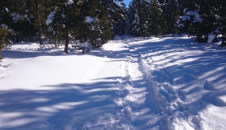 HLOLAR066NO21498_8