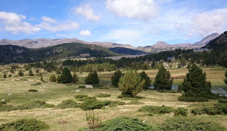 HLOLAR066NO21498_9