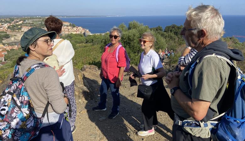 Vinohrando-collioure
