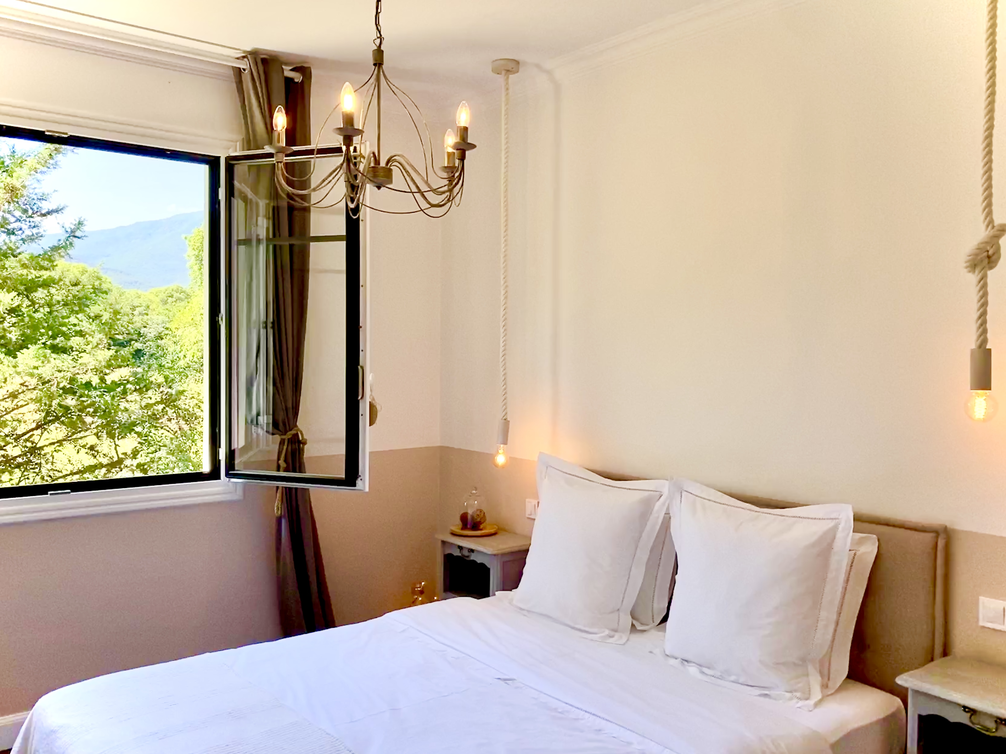 LE CHAT VERT, Saint-André - photo 9