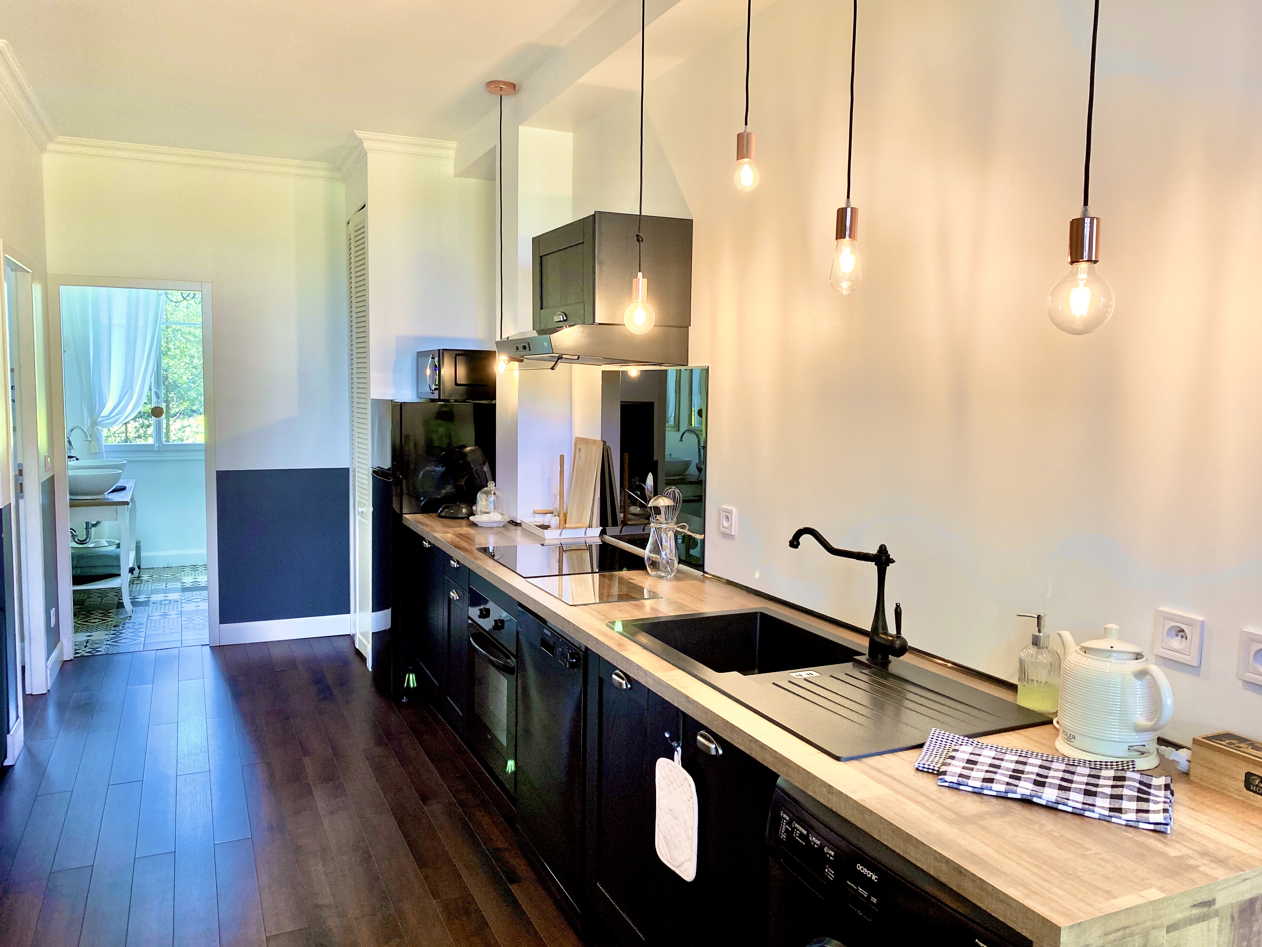 LE CHAT VERT, Saint-André - photo 12