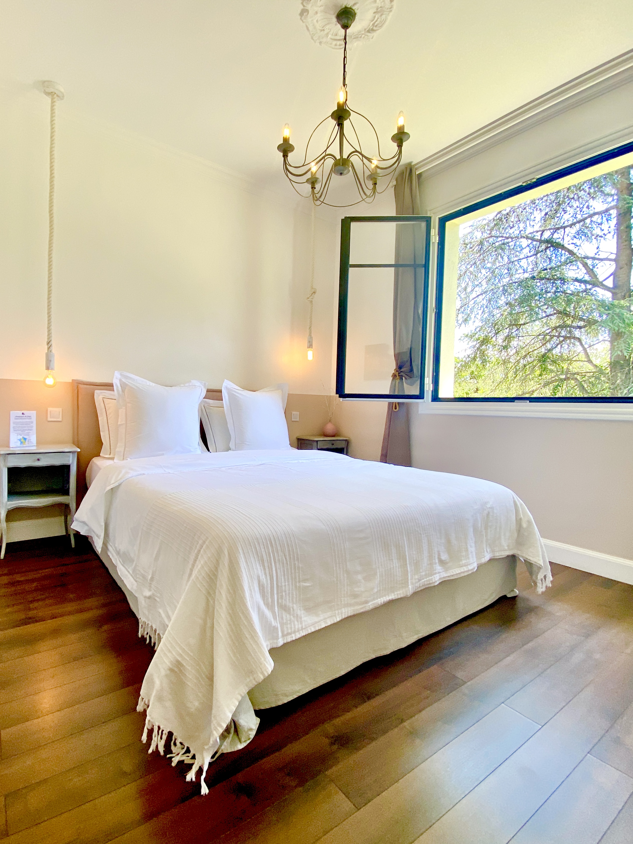 LE CHAT VERT- APPARTEMENTS ADULTS ONLY****