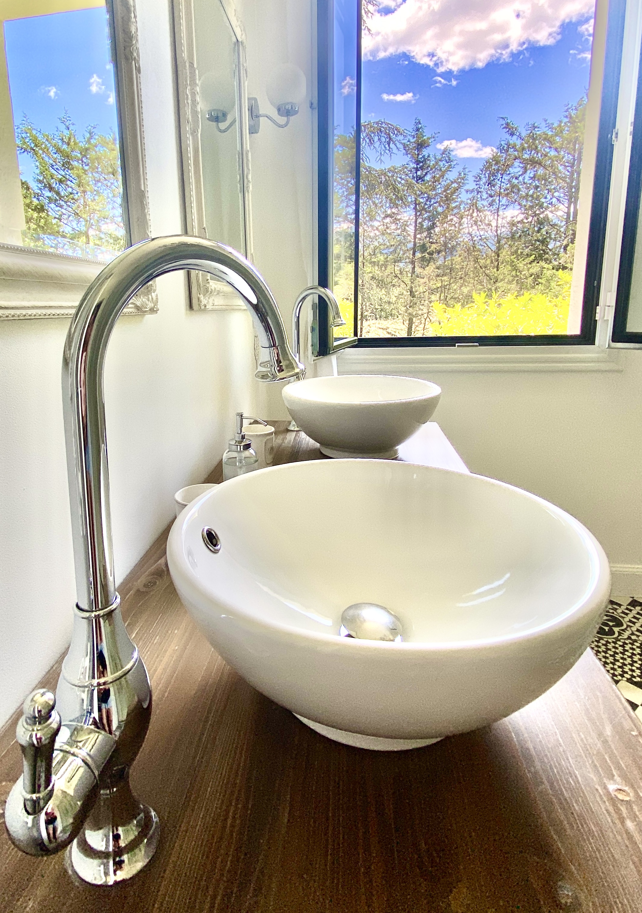 LE CHAT VERT, Saint-André - photo 7