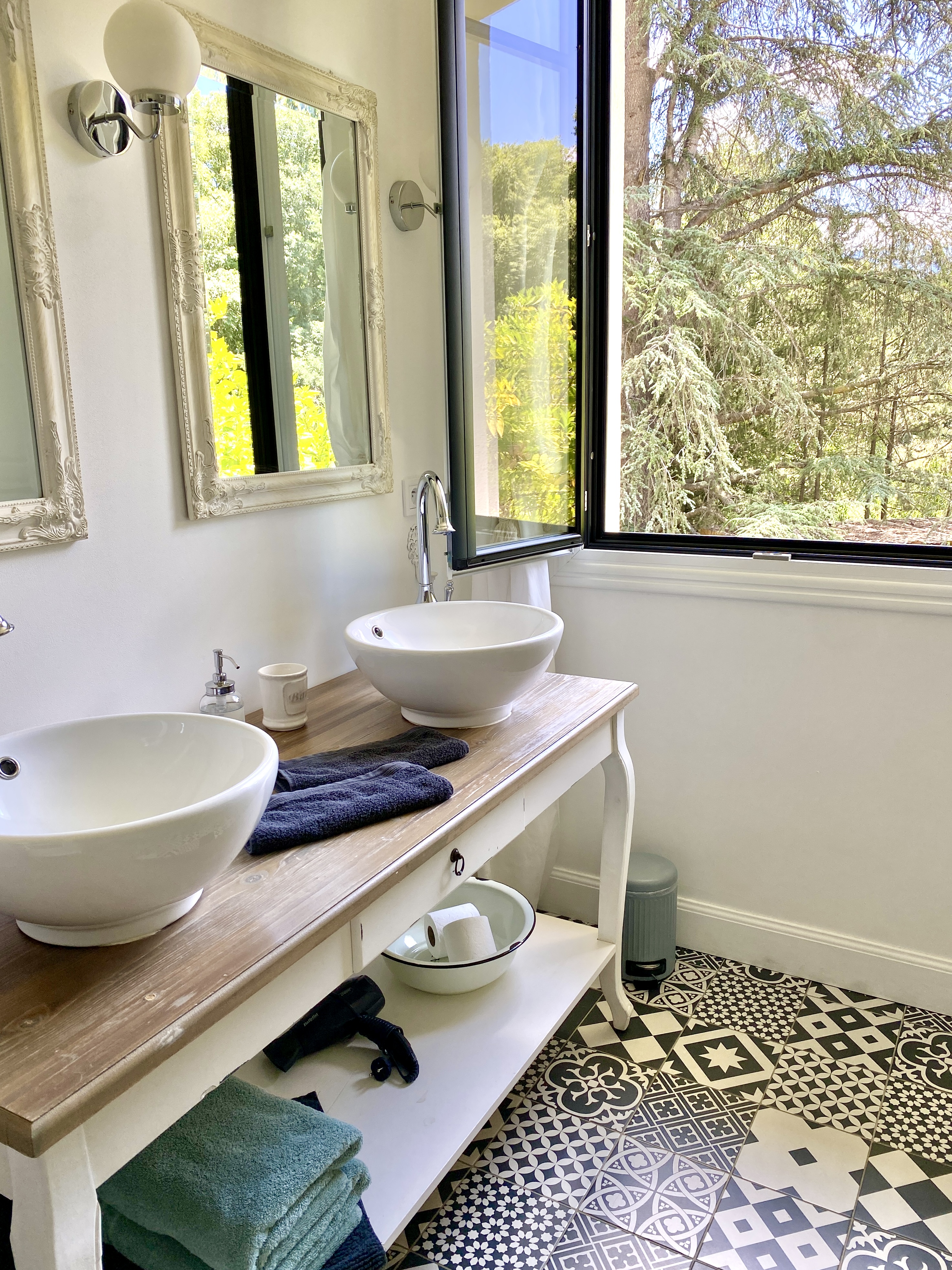 LE CHAT VERT, Saint-André - photo 10