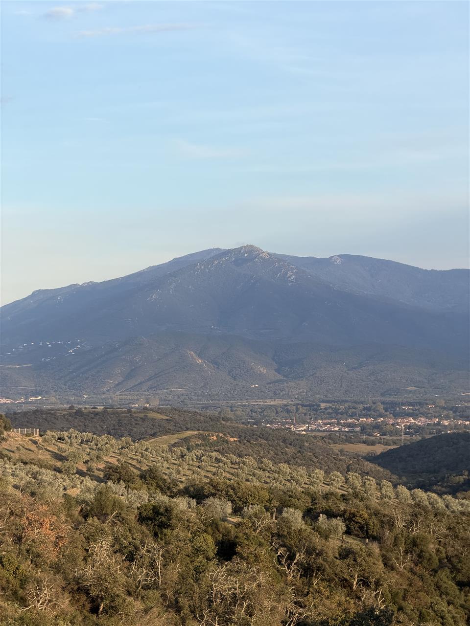 Immersion au cœur de l’oliveraie: Visite accompagnée du mas py et dégustation d’huile d’olive d’exception