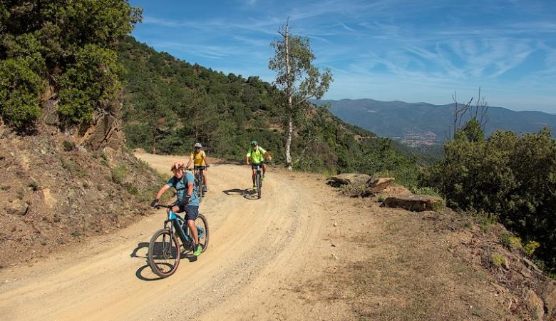 Les vélos du Canigó