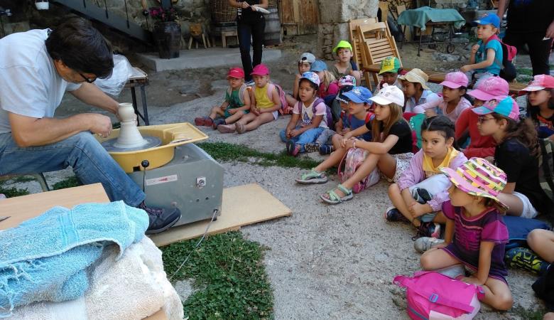 IMG_20190802_101549 P