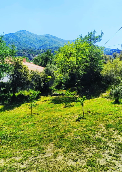 BEL HORIZON, Montesquieu-des-Albères - photo 19