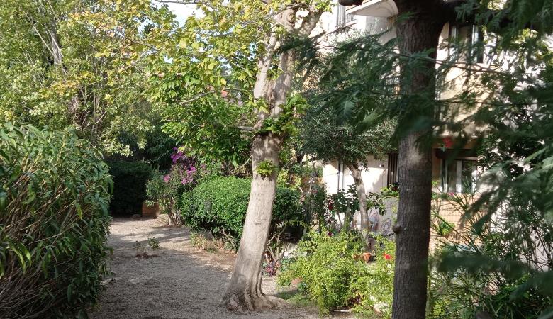 jardin