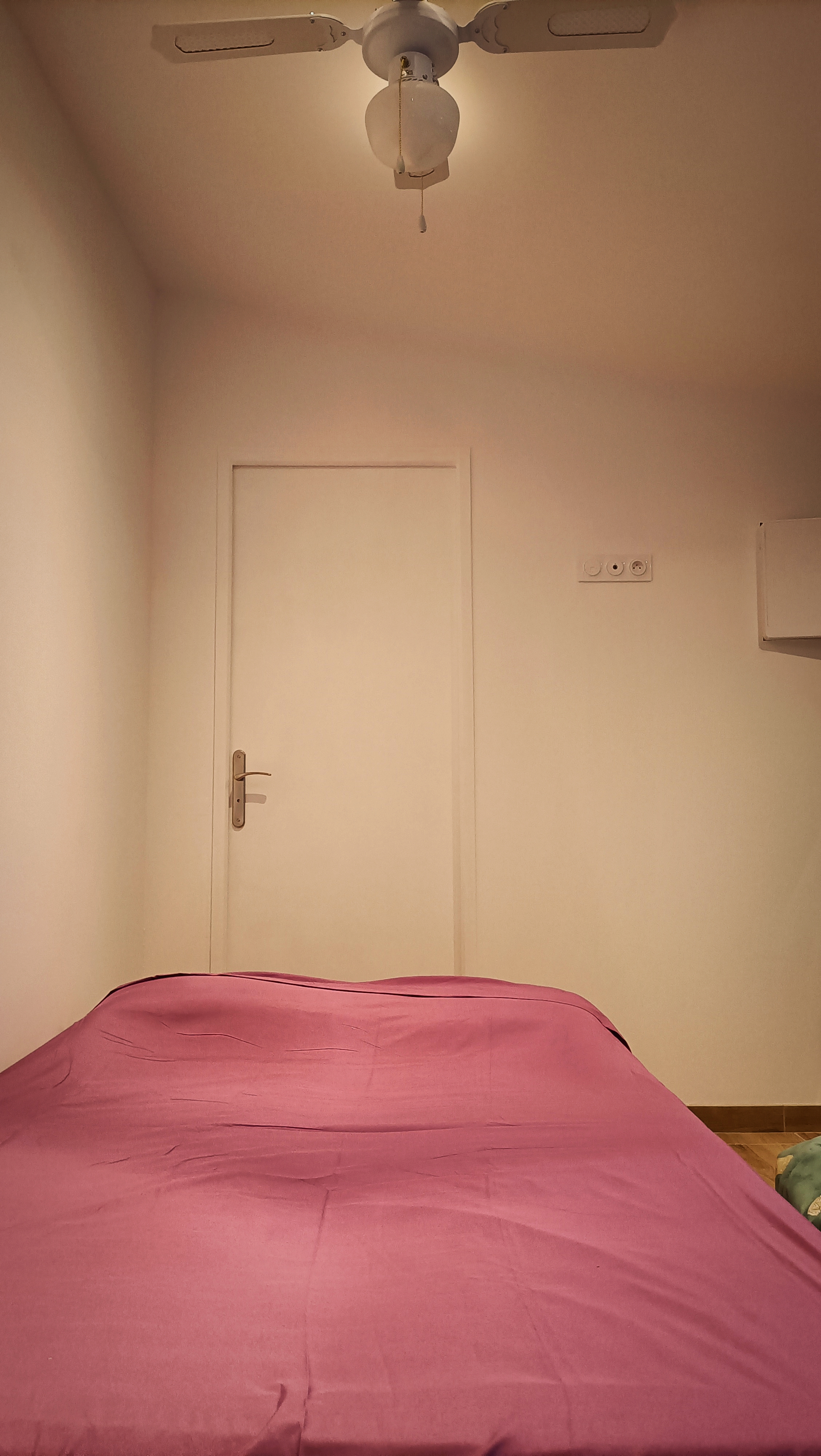 FRANCISCA ZAPATA, Céret - photo 8