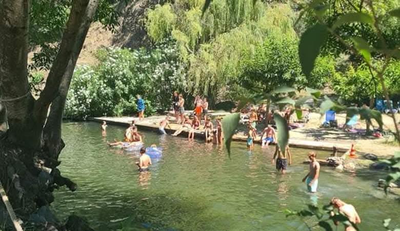 IMG-20250213-WA0017