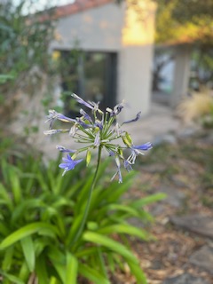 CASA ALEGRIA, Joch - photo 25