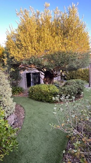 CASA ALEGRIA, Joch - photo 12