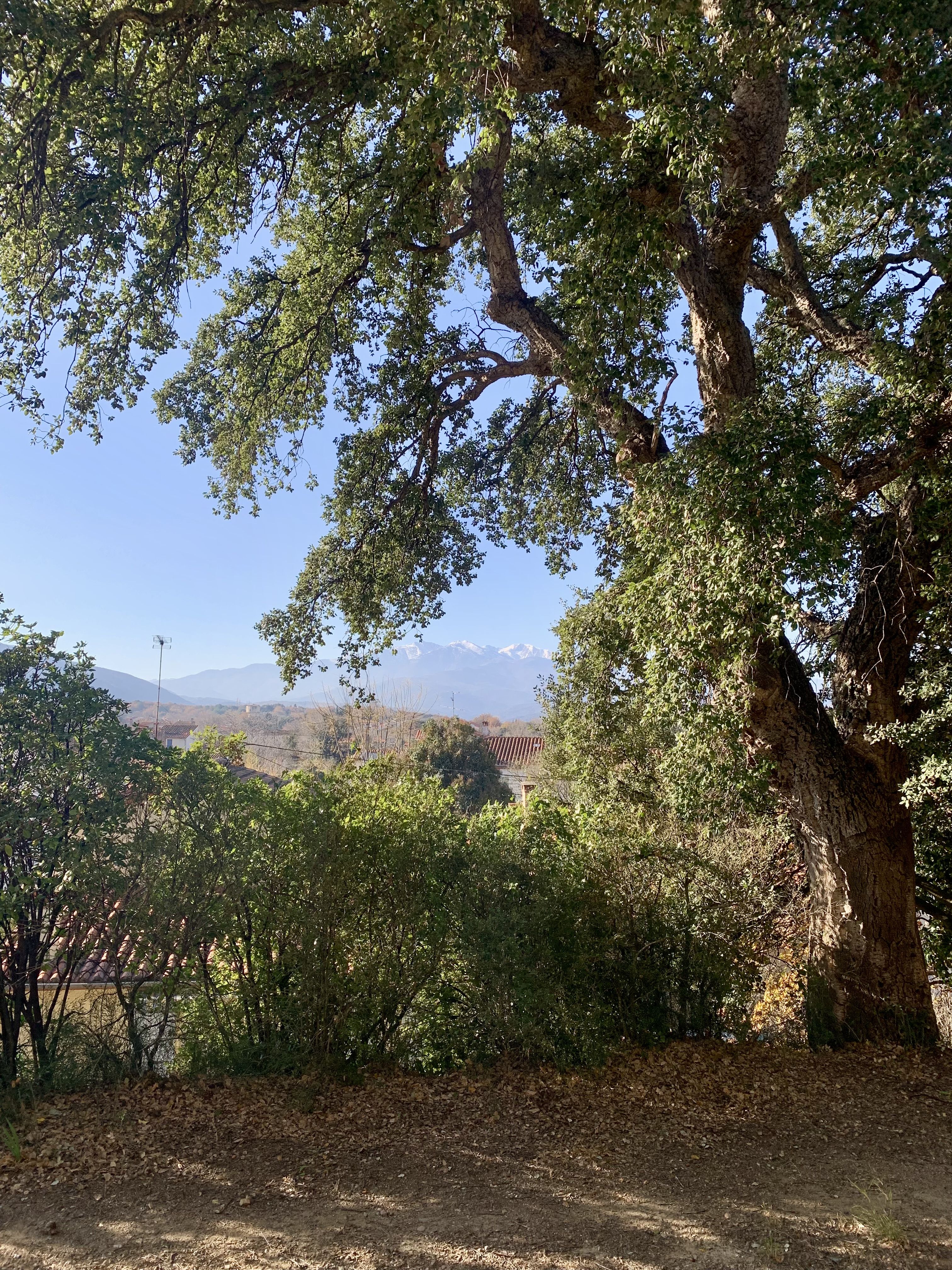 GÎTE 2 PIÈCES AVEC JARDIN, VUE SUR PYRÉNÉES, Maureillas-las-Illas - photo 13