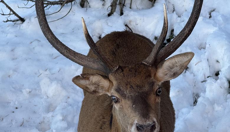 Le Domaine Le Domaine