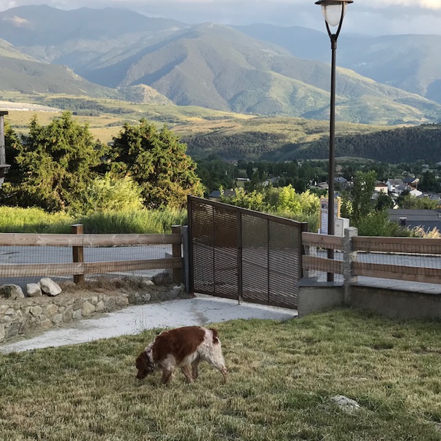 CHALET CERVUS, Font-Romeu-Odeillo-Via - photo 17