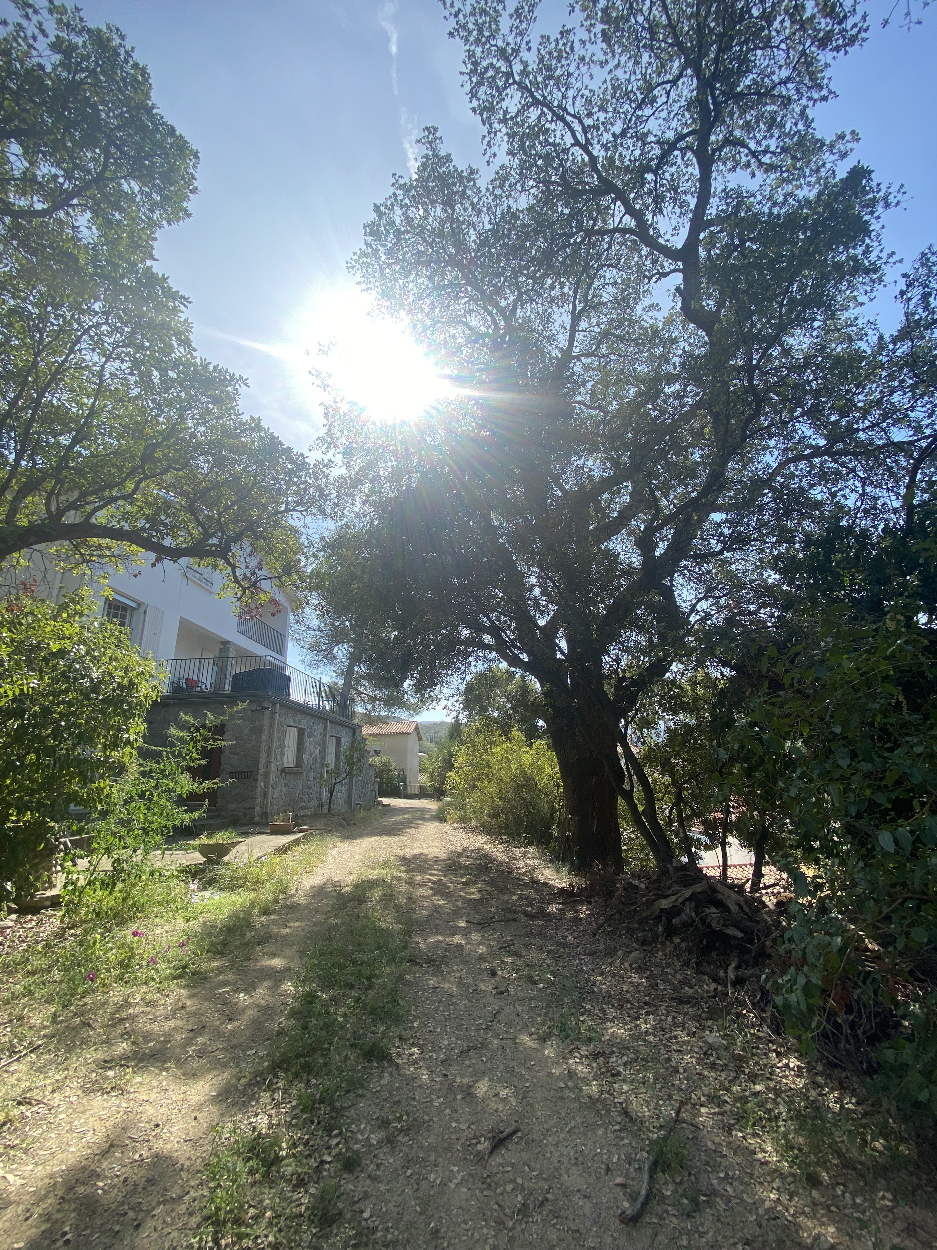 GÎTE 2 PIÈCES AVEC JARDIN, VUE SUR PYRÉNÉES, Maureillas-las-Illas - photo 8