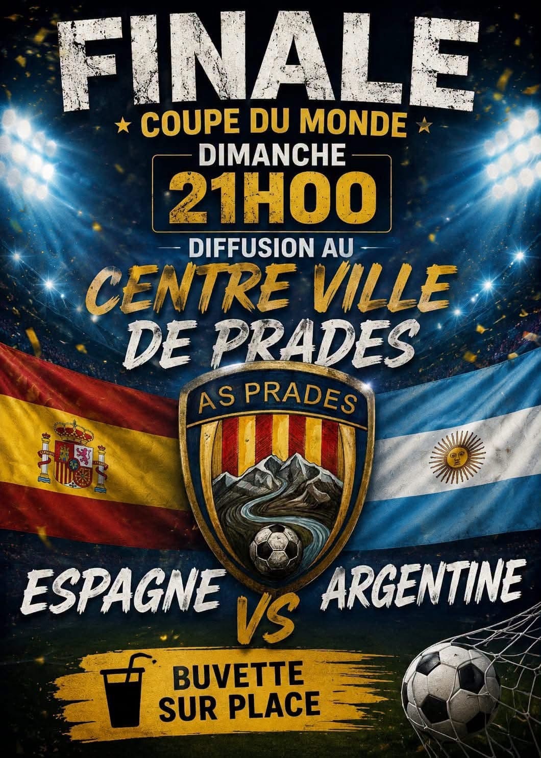 Diffusion de la finale de la coupe du monde