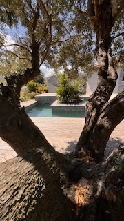 CASA ALEGRIA, Joch - photo 20