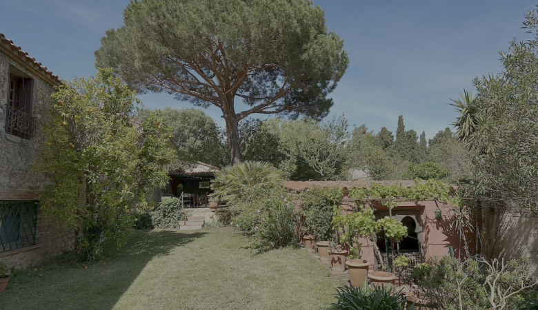 IMG_6996 (1) - copie
