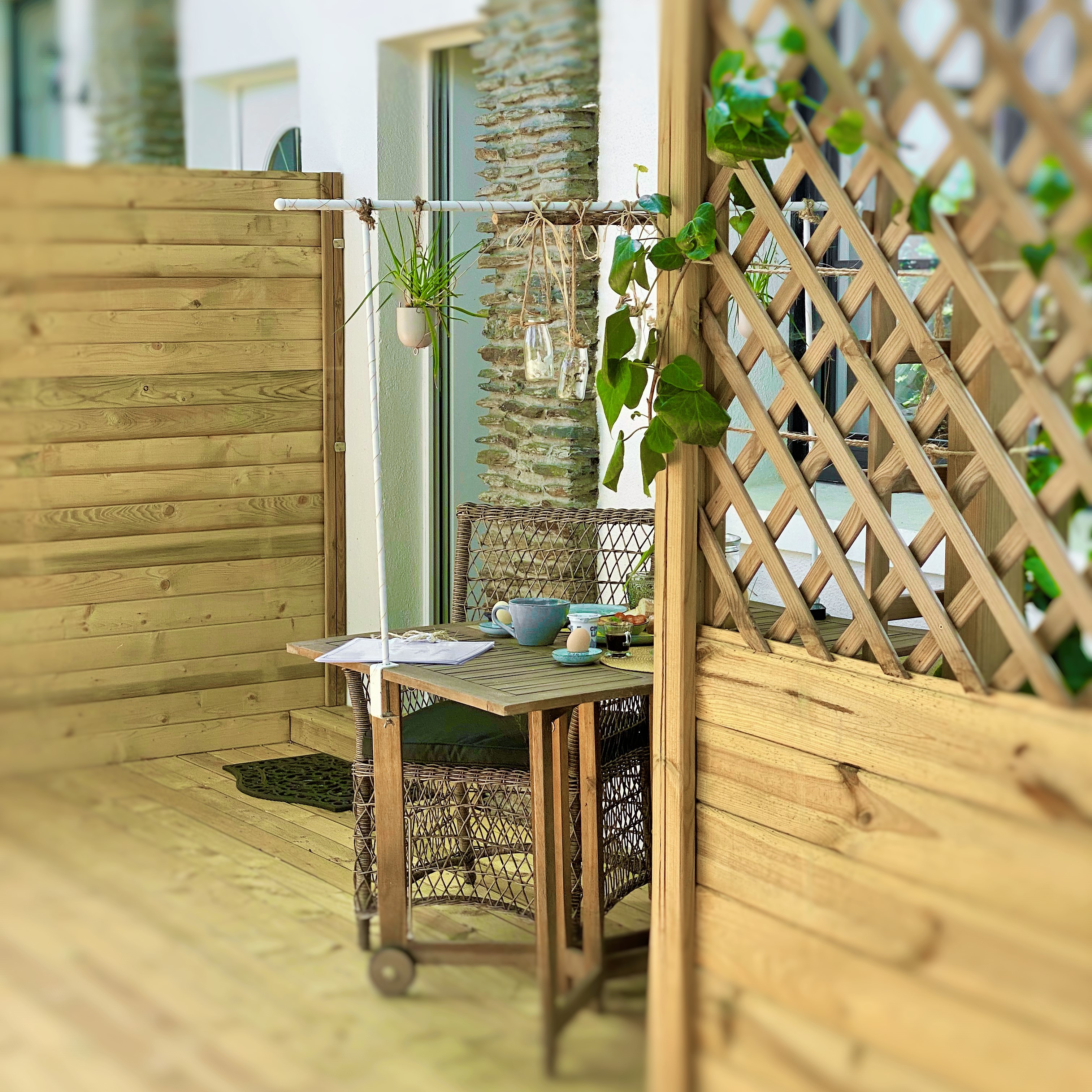 LE CHAT VERT, Saint-André - photo 18