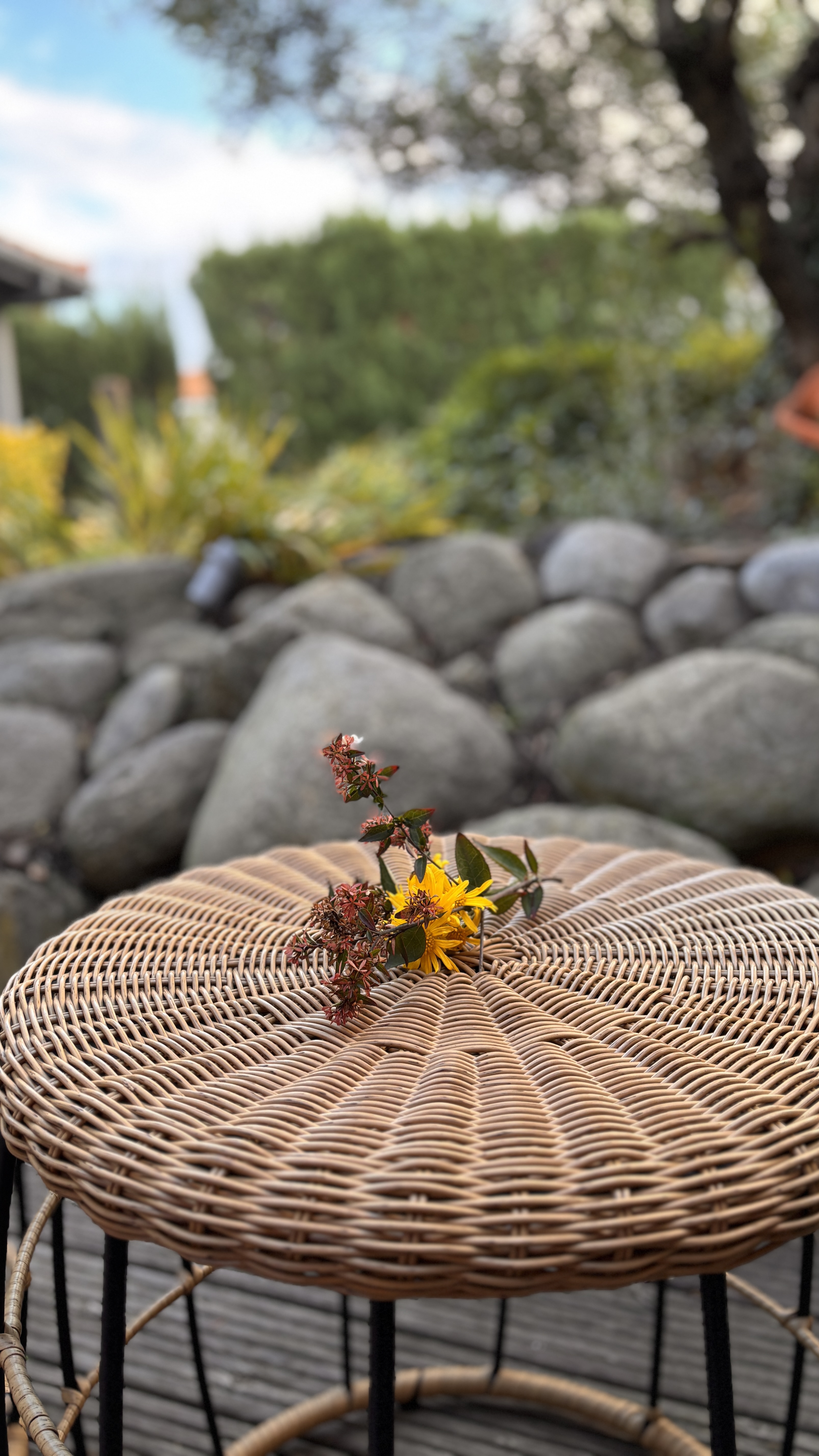 CASA ALEGRIA, Joch - photo 28