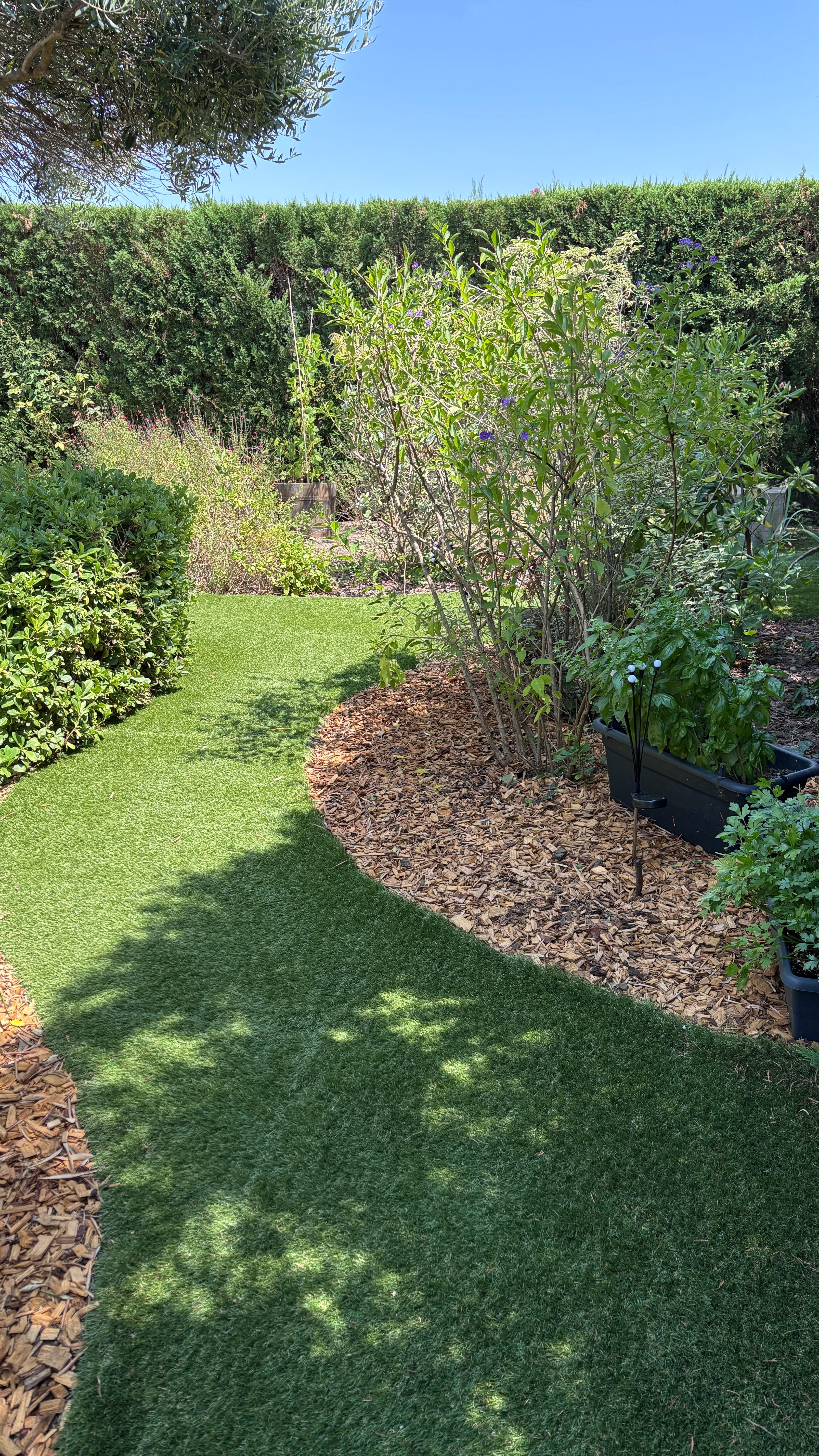 CASA ALEGRIA, Joch - photo 22