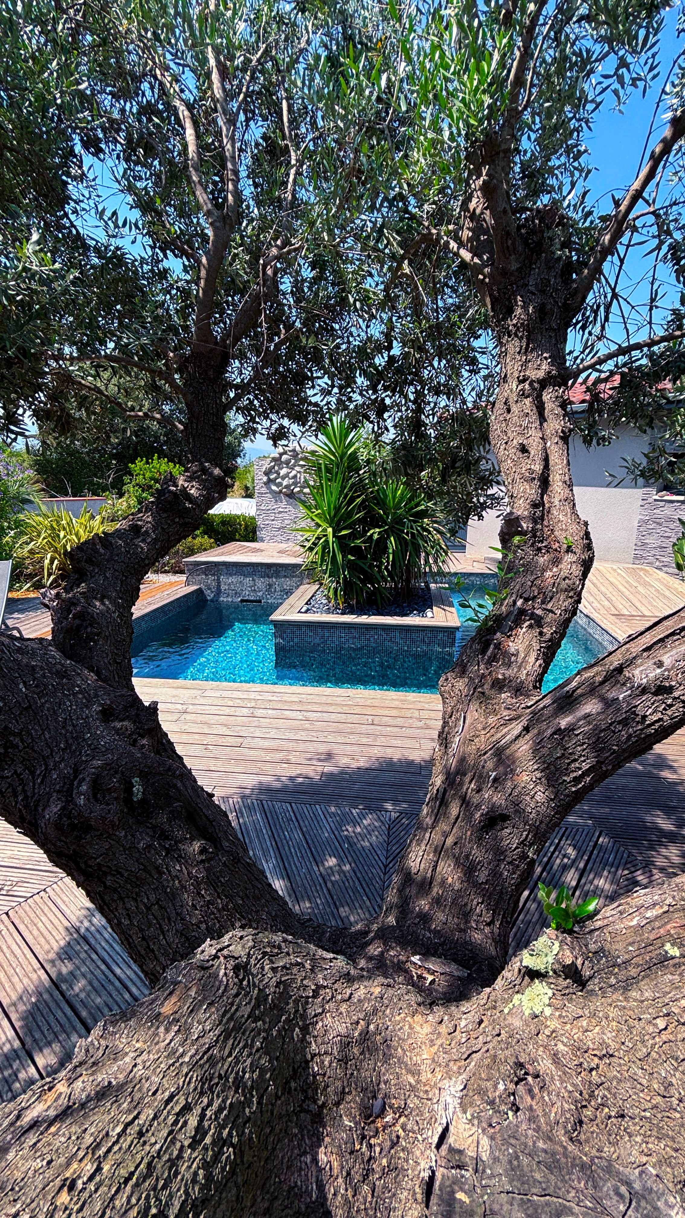 CASA ALEGRIA, Joch - photo 4