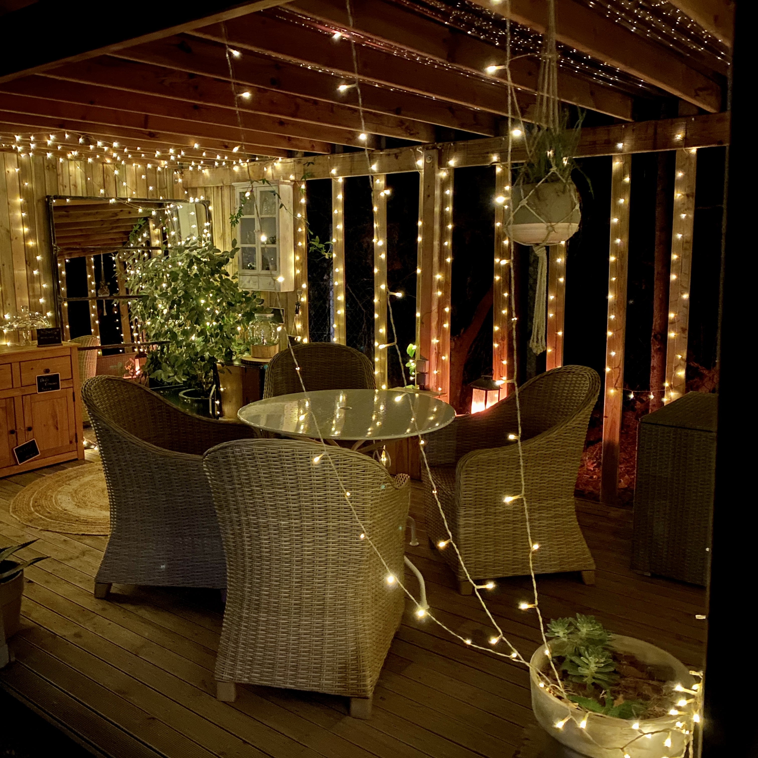 LE CHAT VERT, Saint-André - photo 19