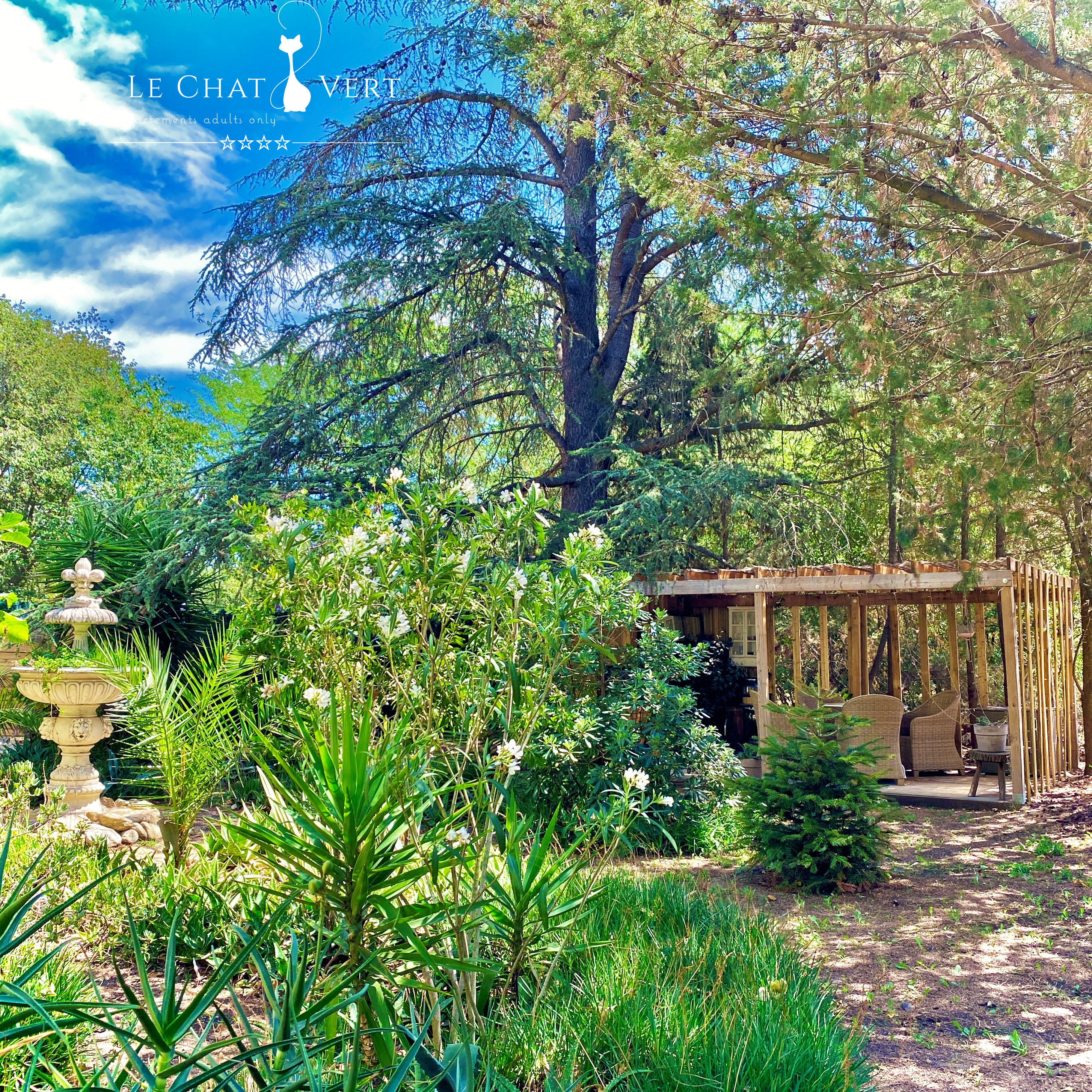 LE CHAT VERT- APPARTEMENTS ADULTS ONLY****, Saint-André - photo 13