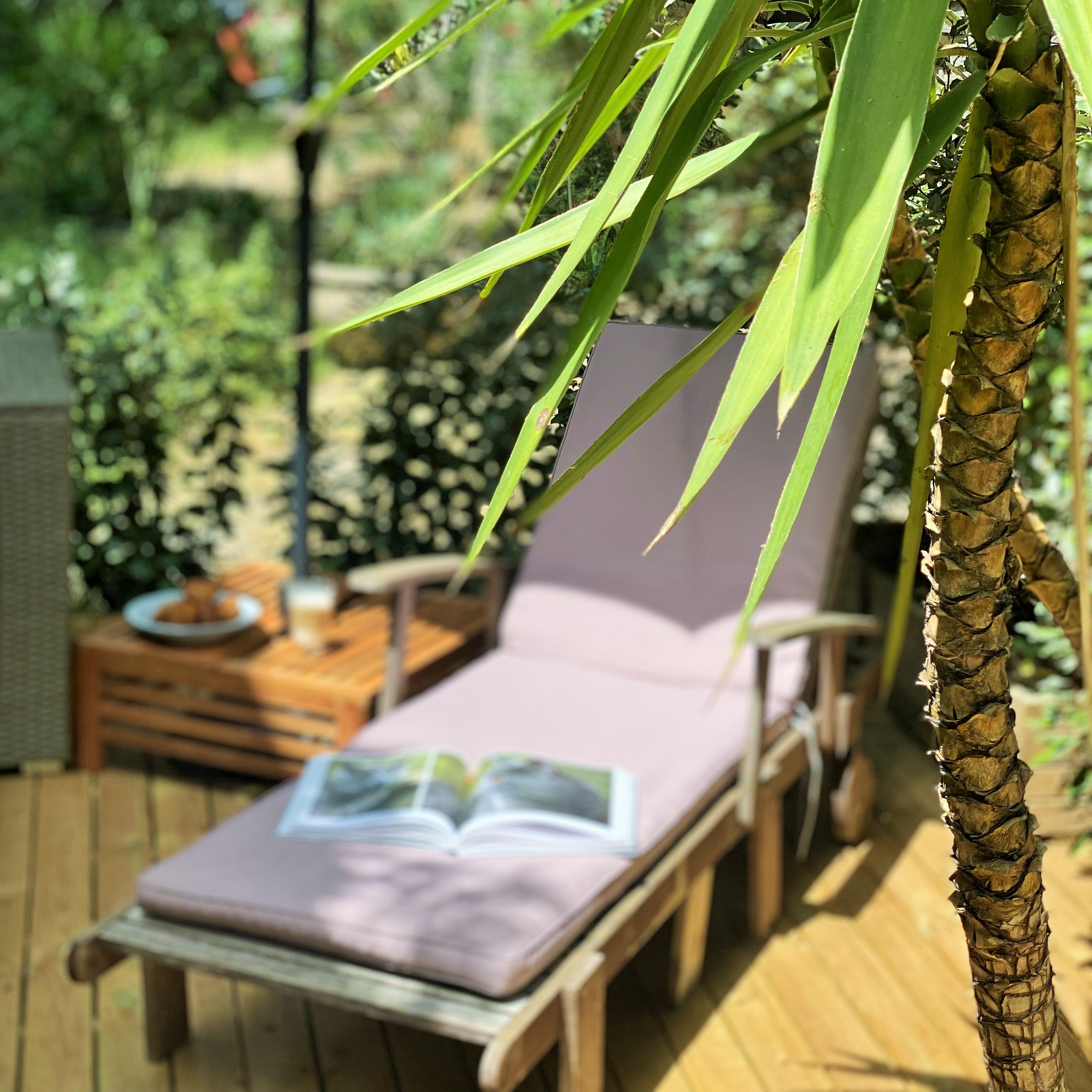 LE CHAT VERT- APPARTEMENTS ADULTS ONLY****, Saint-André - photo 8