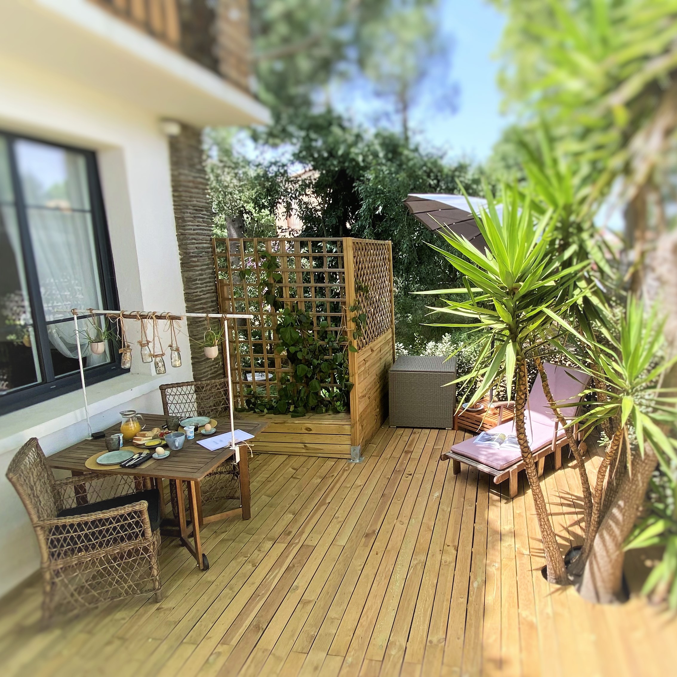 LE CHAT VERT, Saint-André - photo 20