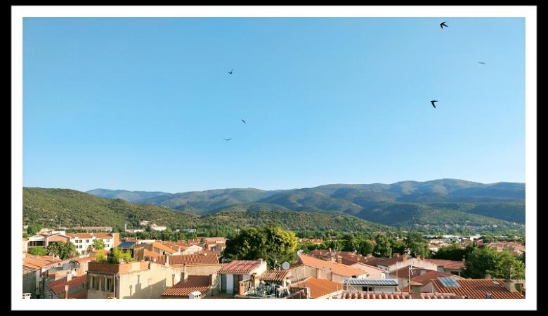Vue sur Prades