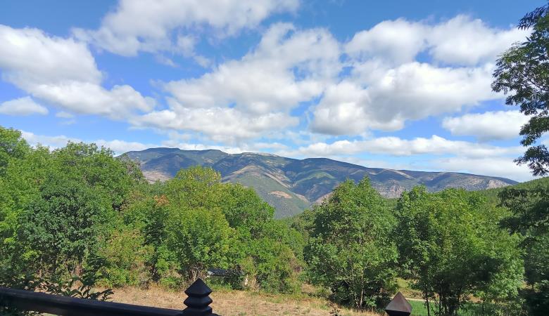 IMG20220822111355_00