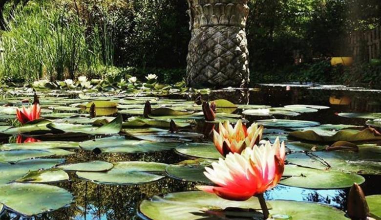 Jardin Exotique de Ponteilla (6) (002)