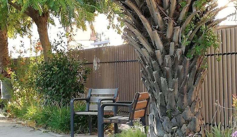 Jardin Muchard 4
