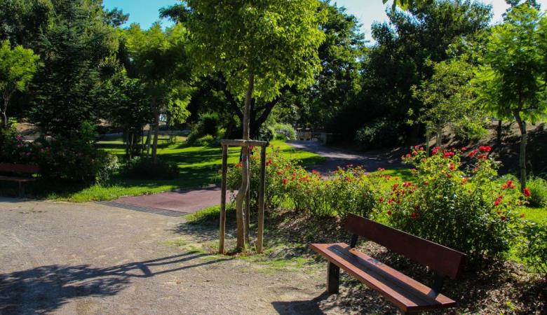 Jardin de la Pépinière 1 