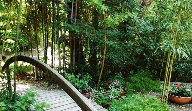 Jardin exotique de Ponteilla bambousaie pont